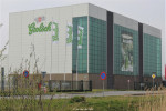 Grolsch